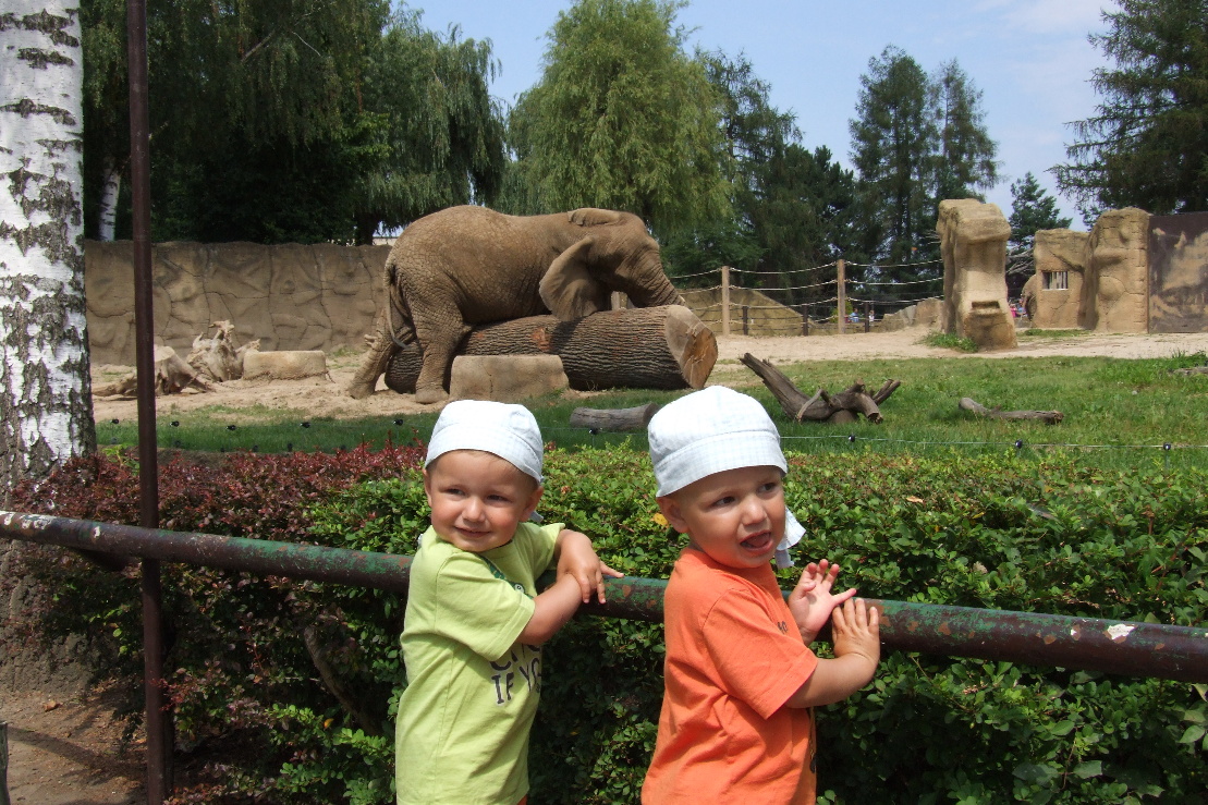 08 ZOO Dvůr Králové.jpg